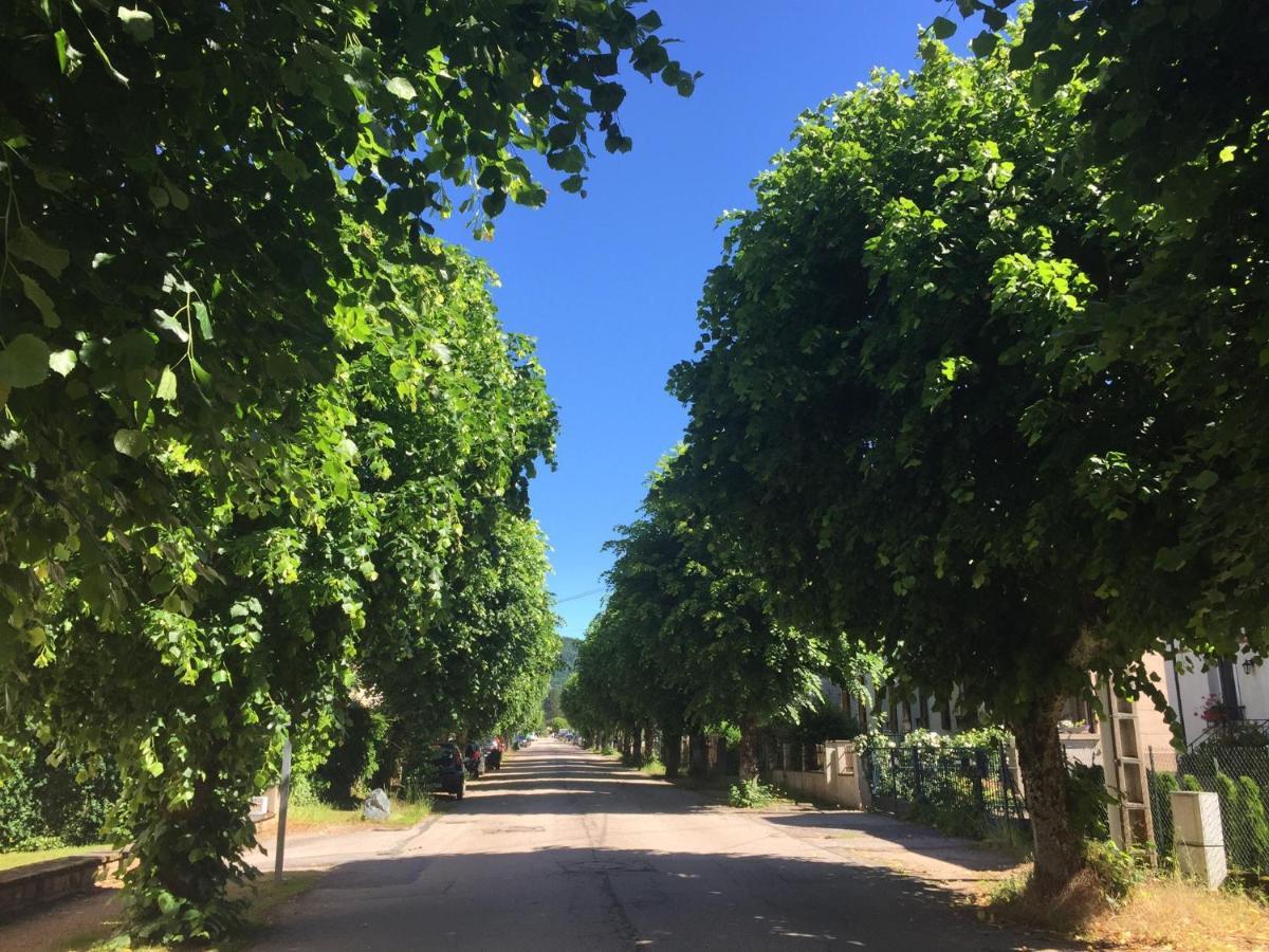 Le Gite De Brigitte ! Saint-Die-des-Vosges Zewnętrze zdjęcie